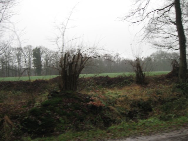 img_6636.jpg
