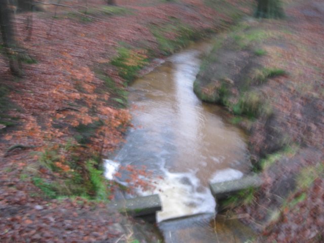 img_6637.jpg