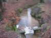 img_6637_small.jpg