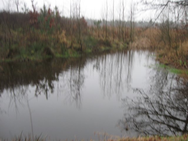 img_6640.jpg