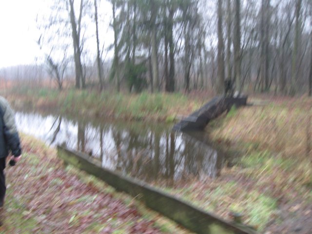 img_6641.jpg