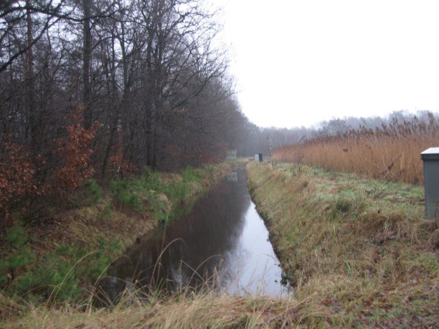 img_6642.jpg