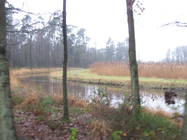 img_6648.jpg