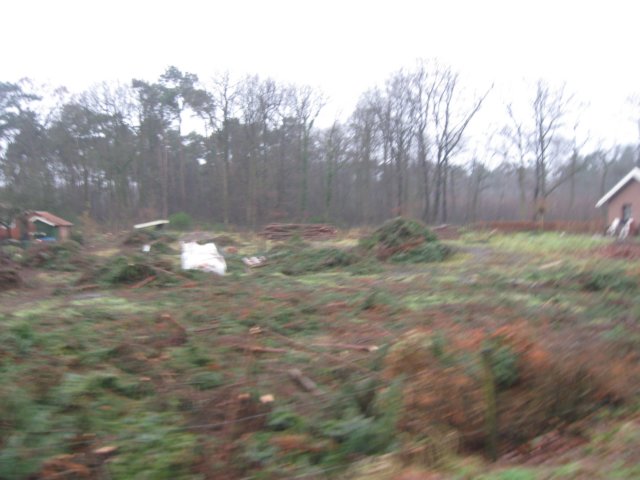 img_6733.jpg