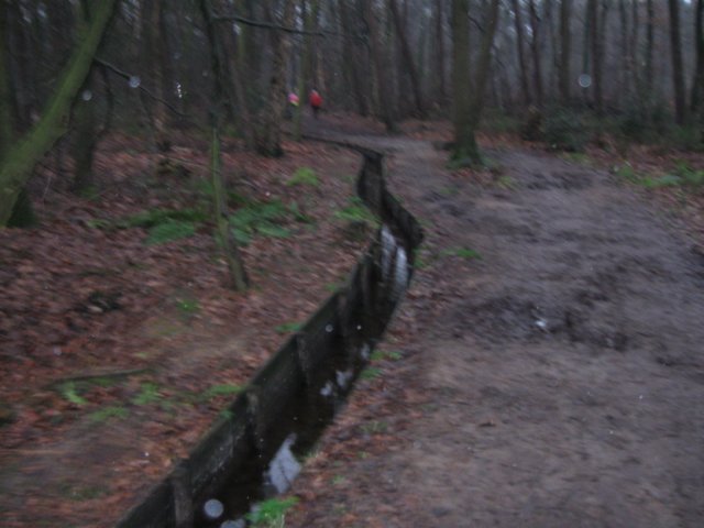 img_6738.jpg