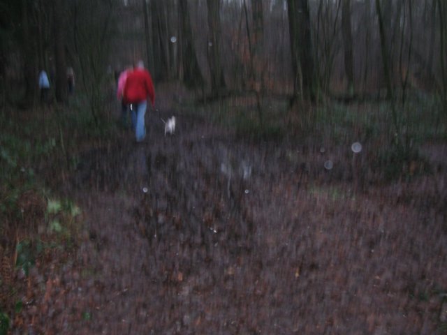 img_6745.jpg
