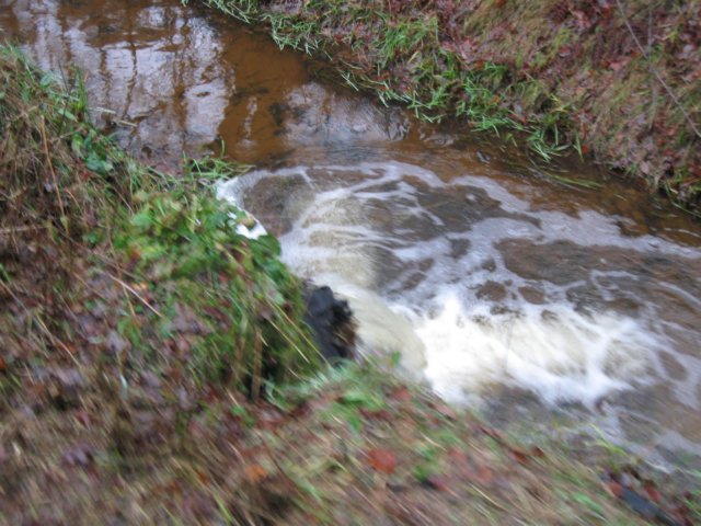 img_6747.jpg