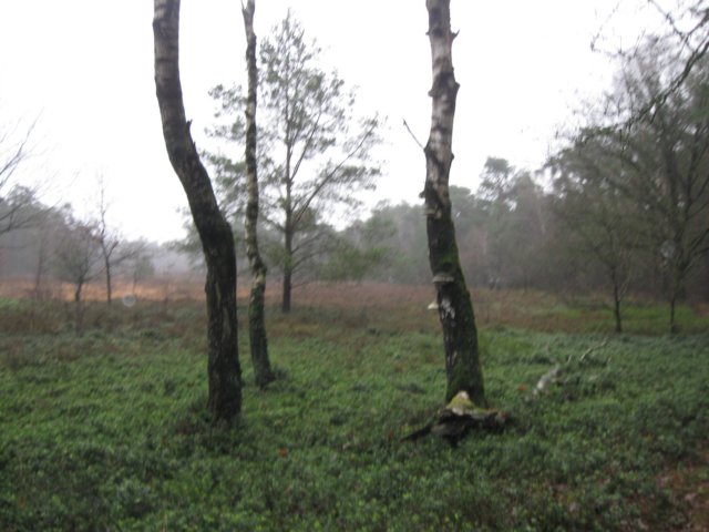 img_6757.jpg