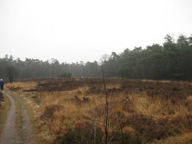 img_6758.jpg