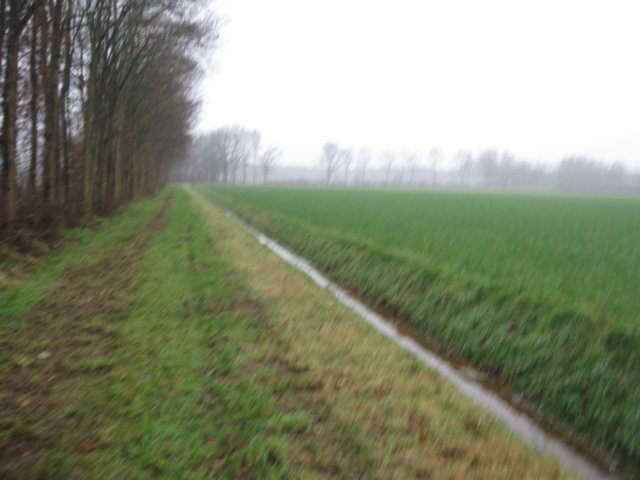 img_6763.jpg