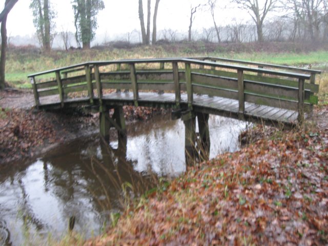 img_6767.jpg