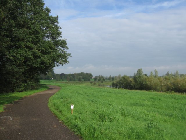 img_5245.jpg