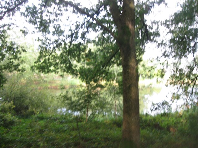 img_5246.jpg