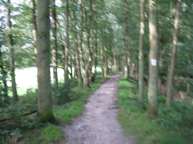 img_5250.jpg