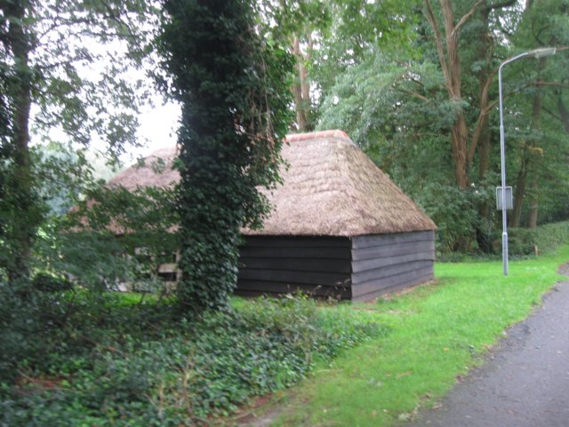 img_5264.jpg