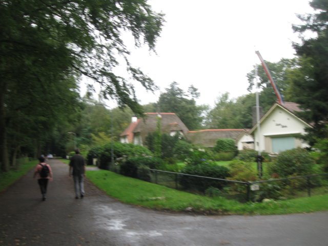 img_5265.jpg