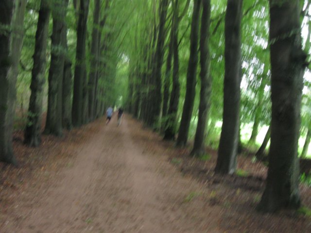 img_5267.jpg
