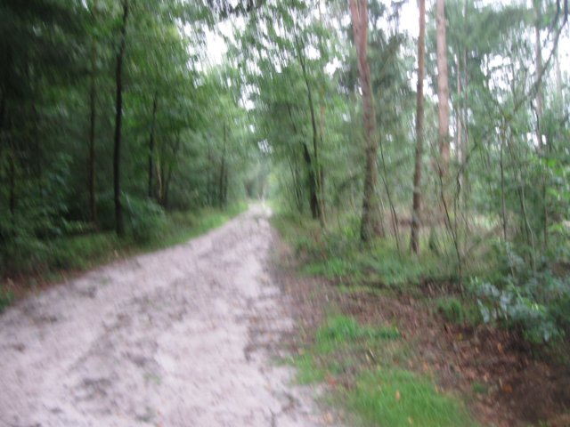 img_5272.jpg