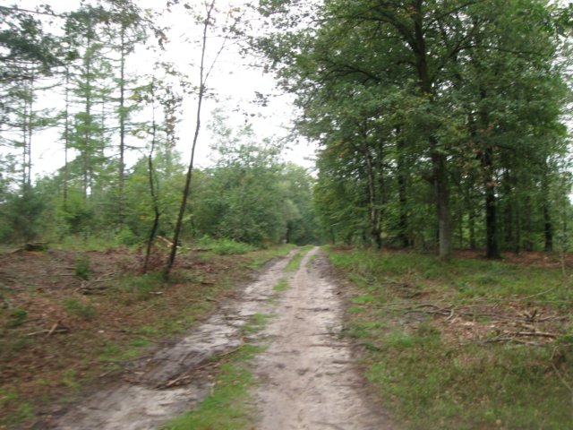 img_5273.jpg