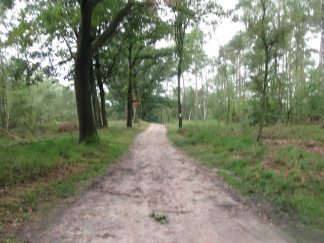 img_5277.jpg