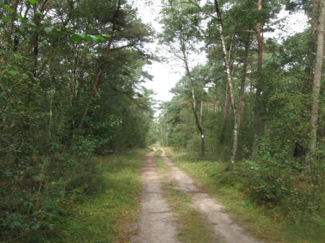 img_5279.jpg
