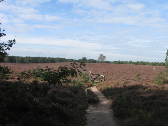 img_5280.jpg