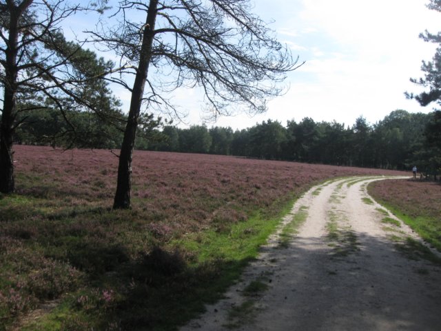 img_5285.jpg