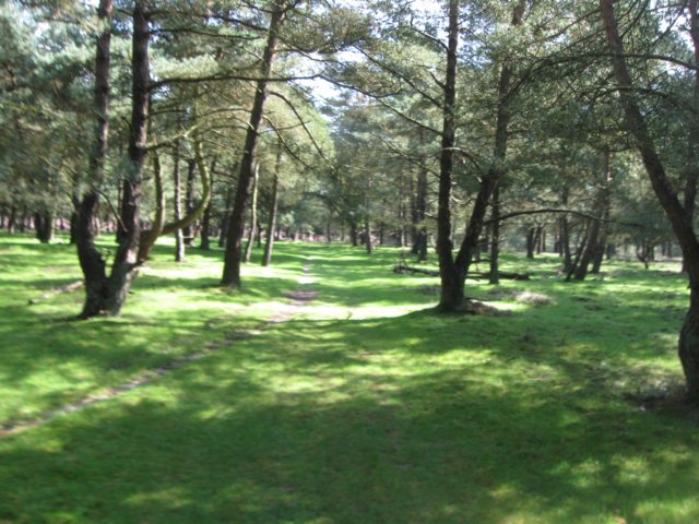 img_5287.jpg