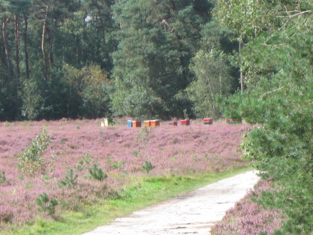 img_5292.jpg
