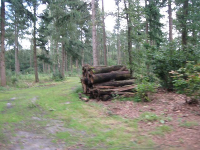 img_5297.jpg