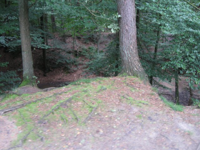 img_5299.jpg