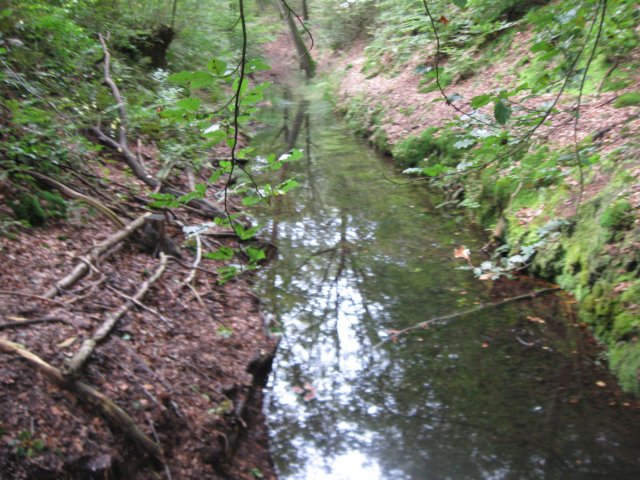 img_5303.jpg