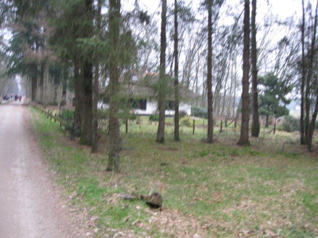 img_0003.jpg