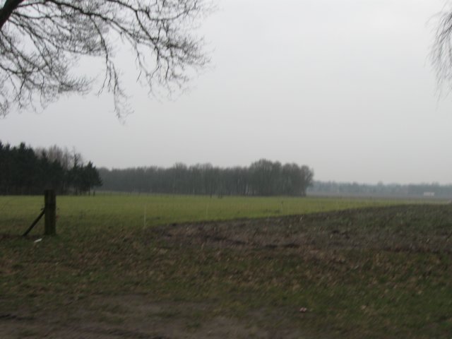 img_0005.jpg