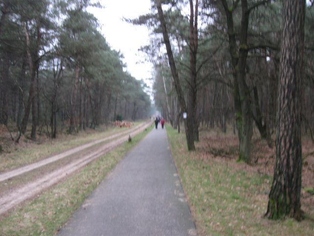 img_0006.jpg