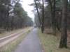 img_0006_small.jpg
