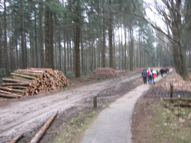 img_0008.jpg
