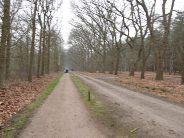 img_0025.jpg
