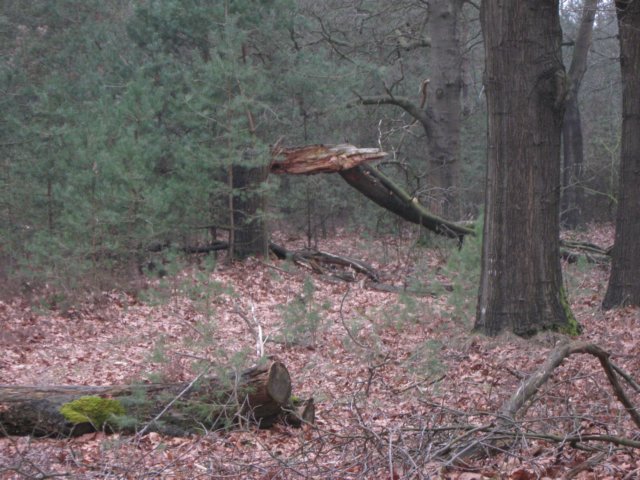 img_0026.jpg