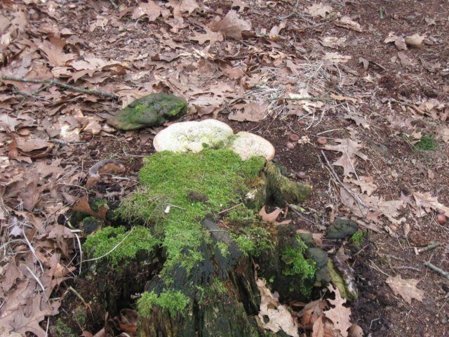 img_0033.jpg
