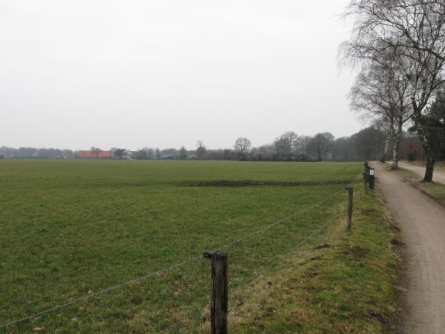 img_0037.jpg