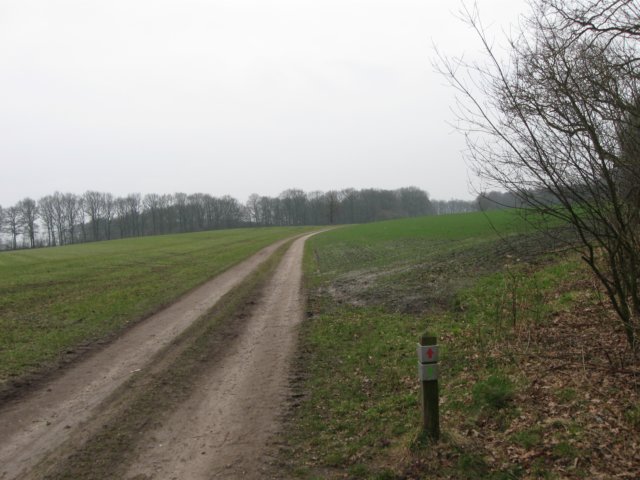 img_0056.jpg