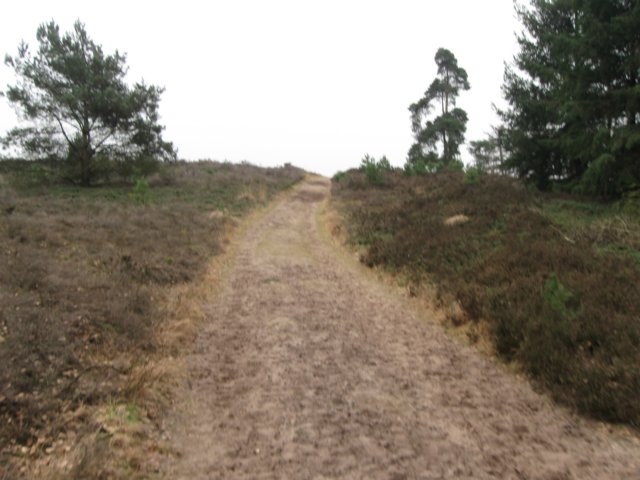 img_0065.jpg