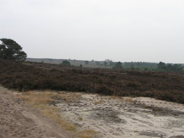 img_0067.jpg