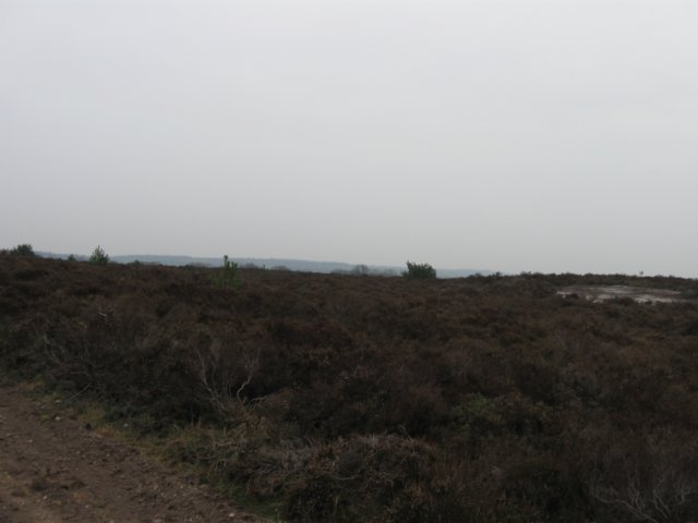 img_0071.jpg