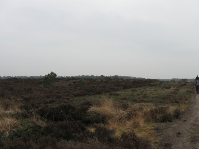 img_0072.jpg