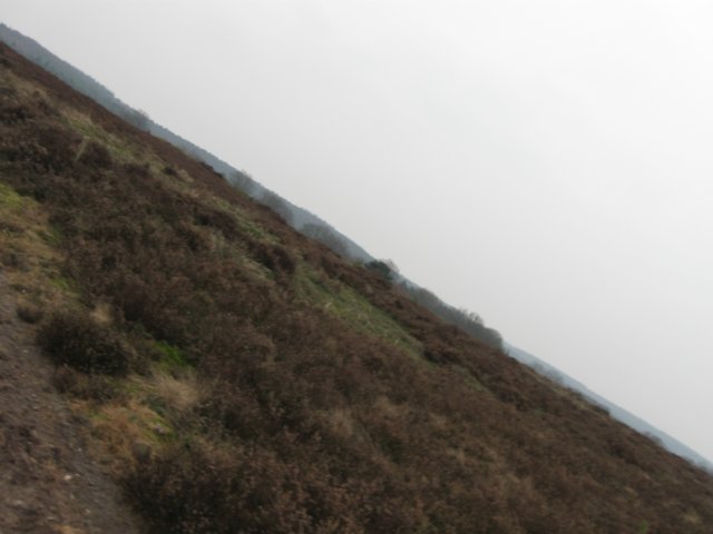 img_0073.jpg