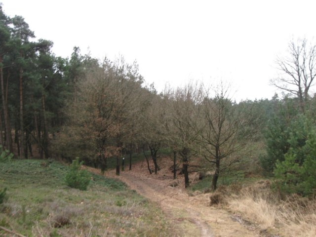 img_0075.jpg