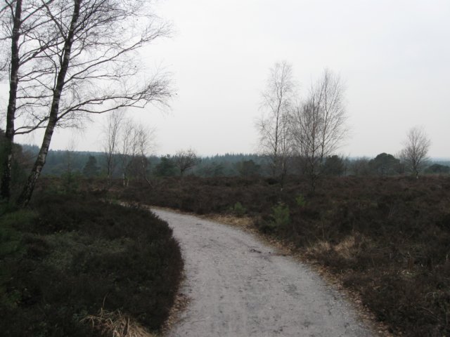 img_0077.jpg