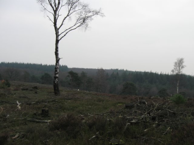 img_0080.jpg